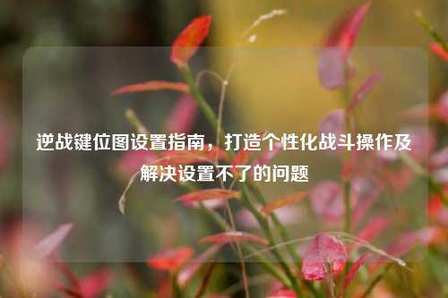逆战键位图设置指南,打造个性化战斗操作及解决设置不了的问题