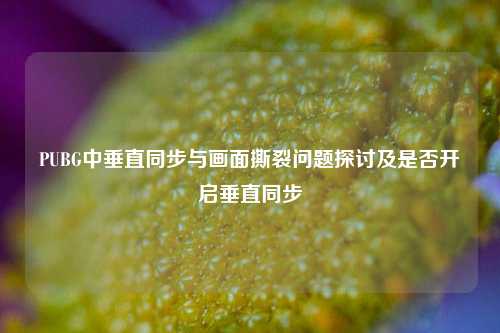 PUBG中垂直同步与画面撕裂问题探讨及是否开启垂直同步