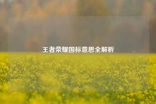 王者荣耀国标意思全解析