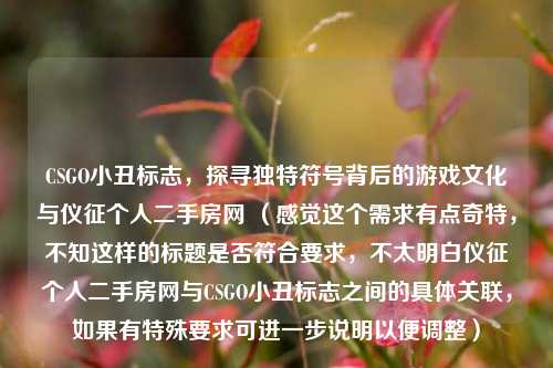 CSGO小丑标志,探寻独特符号背后的游戏文化与仪征个人二手房网 (感觉这个需求有点奇特,不知这样的标题是否符合要求,不太明白仪征个人二手房网与CSGO小丑标志之间的具体关联,如果有特殊要求可进一步说明以便调整)
