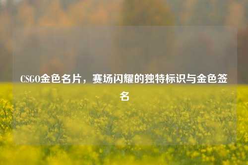 CSGO金色名片,赛场闪耀的独特标识与金色签名