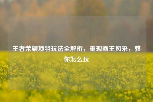 王者荣耀项羽玩法全解析，重现霸王风采，教你怎么玩
