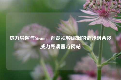 威力导演与Steam，创意视频编辑的奇妙组合及威力导演官方网站