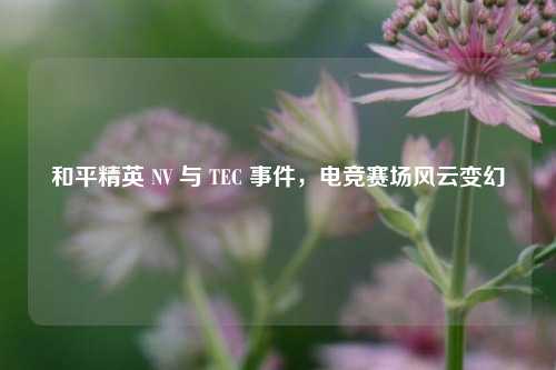 和平精英 NV 与 TEC 事件，电竞赛场风云变幻