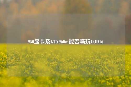 950显卡及GTX960m能否畅玩COD16