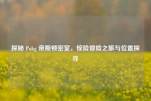探秘 Pubg 帝斯顿密室，惊险冒险之旅与位置探寻
