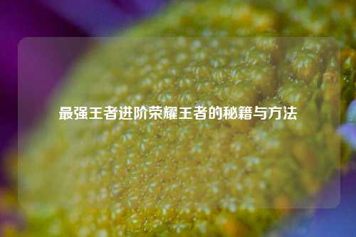 最强王者进阶荣耀王者的秘籍与方法