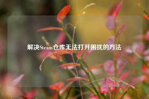 解决Steam仓库无法打开困扰的方法