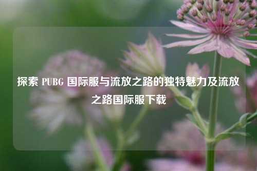 探索 PUBG 国际服与流放之路的独特魅力及流放之路国际服下载