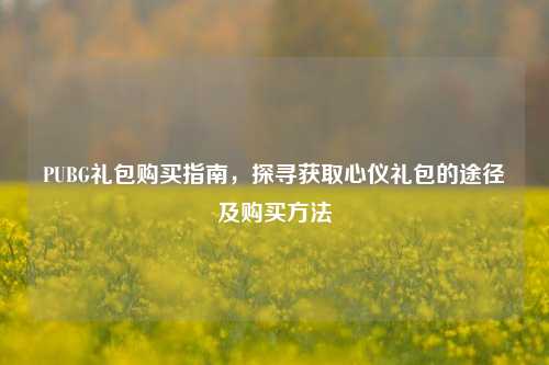 PUBG礼包购买指南，探寻获取心仪礼包的途径及购买方法
