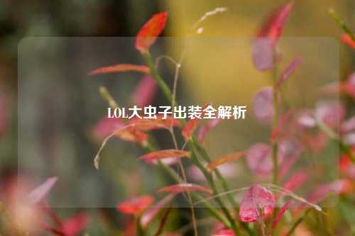LOL大虫子出装全解析