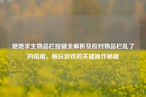 绝地求生物品栏按键全解析及应对物品栏乱了的指南,畅玩游戏的关键操作秘籍