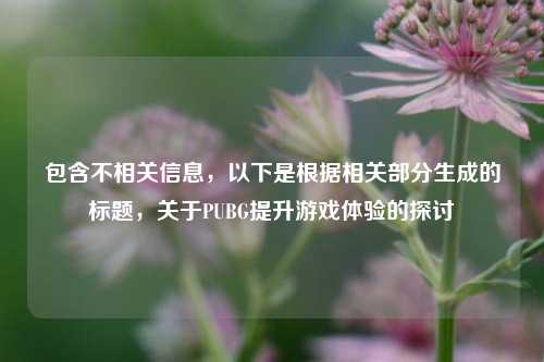 包含不相关信息，以下是根据相关部分生成的标题，关于PUBG提升游戏体验的探讨
