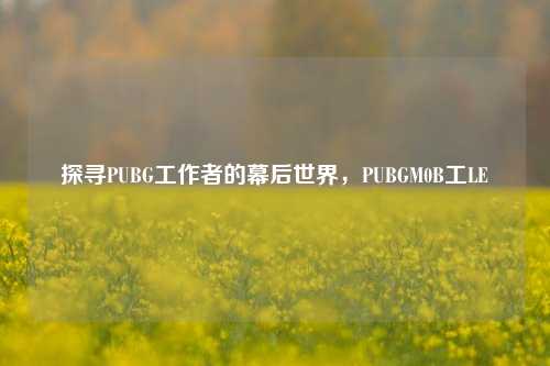 探寻PUBG工作者的幕后世界,PUBGM0B工LE