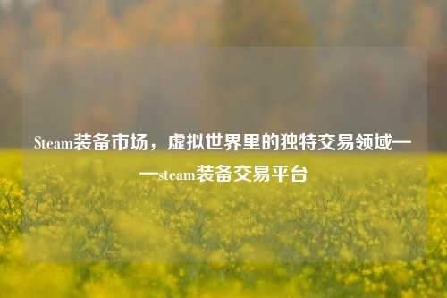 Steam装备市场,虚拟世界里的独特交易领域——steam装备交易平台