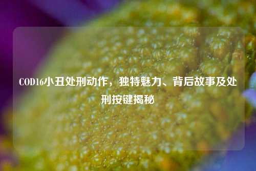 COD16小丑处刑动作，独特魅力、背后故事及处刑按键揭秘