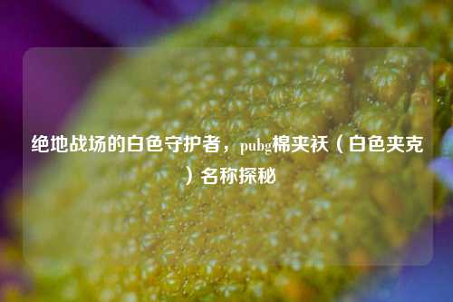 绝地战场的白色守护者，pubg棉夹袄（白色夹克）名称探秘