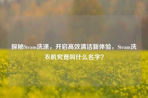 探秘Steam洗涤,开启高效清洁新体验,Steam洗衣机究竟叫什么名字?