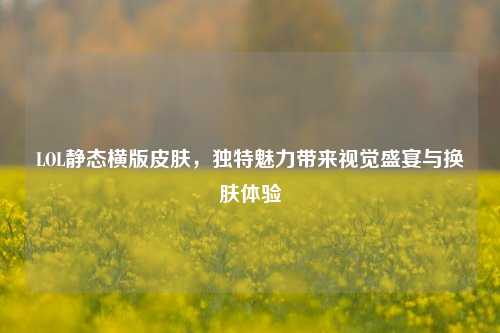 LOL静态横版皮肤，独特魅力带来视觉盛宴与换肤体验