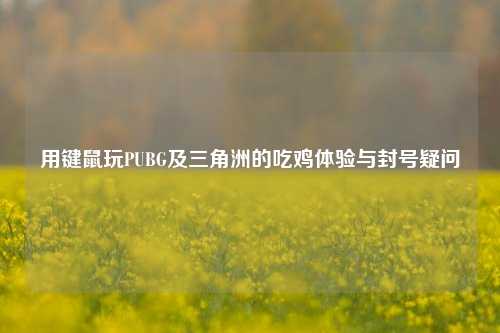 用键鼠玩PUBG及三角洲的吃鸡体验与封号疑问
