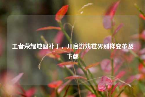 王者荣耀地图补丁，开启游戏世界别样变革及下载
