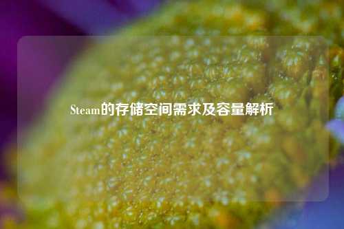 Steam的存储空间需求及容量解析