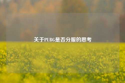 关于PUBG是否分服的思考
