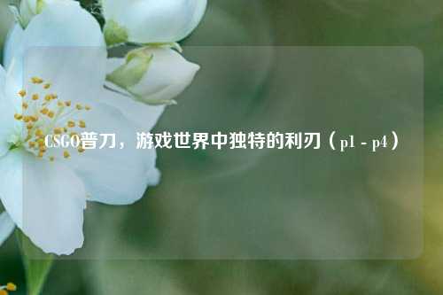 CSGO普刀，游戏世界中独特的利刃（p1 - p4）