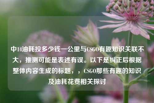 中14油耗投多少钱一公里与CSGO有趣知识关联不大,推测可能是表述有误。以下是纠正后根据整体内容生成的标题,,CSGO那些有趣的知识及油耗花费相关探讨