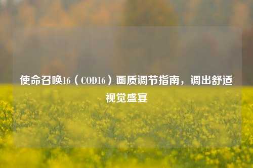 使命召唤16(COD16)画质调节指南,调出舒适视觉盛宴