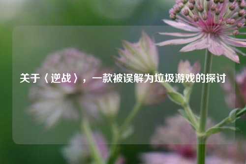 关于〈逆战〉,一款被误解为垃圾游戏的探讨