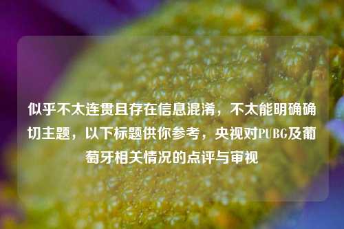 似乎不太连贯且存在信息混淆，不太能明确确切主题，以下标题供你参考，央视对PUBG及葡萄牙相关情况的点评与审视