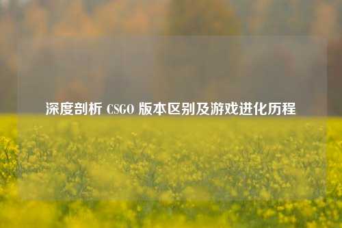 深度剖析 CSGO 版本区别及游戏进化历程