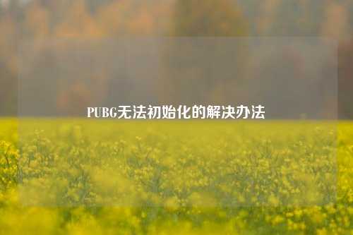 PUBG无法初始化的解决办法