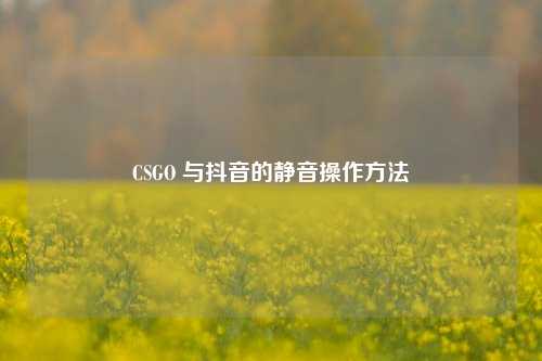 CSGO 与抖音的静音操作方法