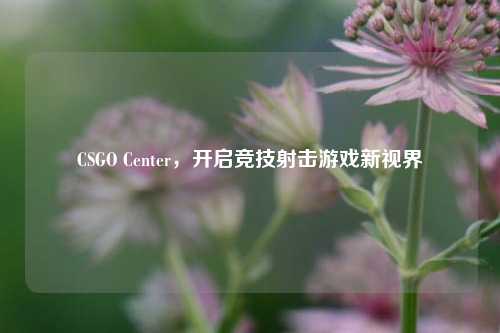 CSGO Center，开启竞技射击游戏新视界