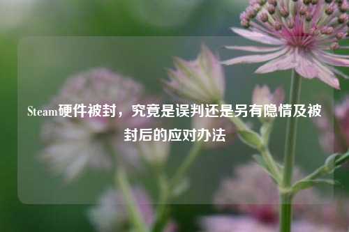 Steam硬件被封，究竟是误判还是另有隐情及被封后的应对办法