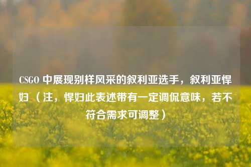 CSGO 中展现别样风采的叙利亚选手，叙利亚悍妇 （注，悍妇此表述带有一定调侃意味，若不符合需求可调整）
