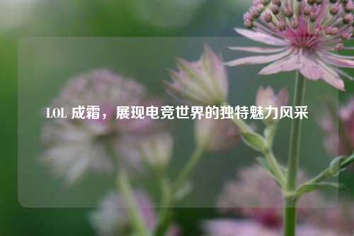 LOL 成霜，展现电竞世界的独特魅力风采