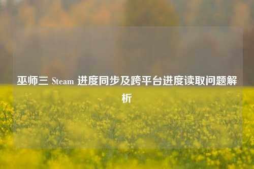巫师三 Steam 进度同步及跨平台进度读取问题解析