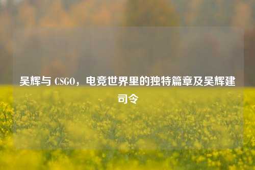 吴辉与 CSGO，电竞世界里的独特篇章及吴辉建司令