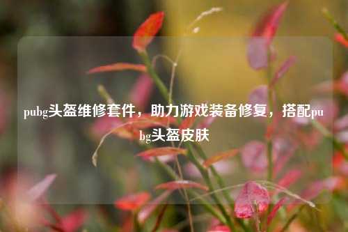 pubg头盔维修套件，助力游戏装备修复，搭配pubg头盔皮肤