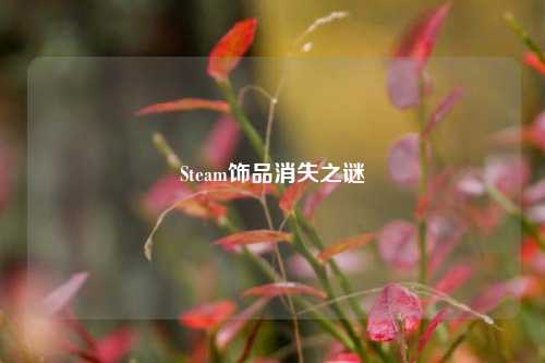 Steam饰品消失之谜