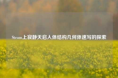 Steam上寂静天启人体结构几何体速写的探索
