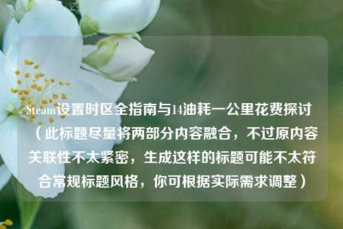 Steam设置时区全指南与14油耗一公里花费探讨 (此标题尽量将两部分内容融合,不过原内容关联性不太紧密,生成这样的标题可能不太符合常规标题风格,你可根据实际需求调整)