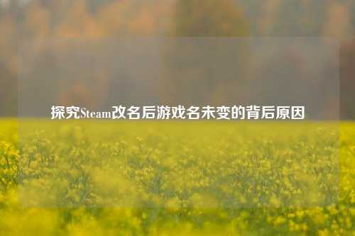 探究Steam改名后游戏名未变的背后原因