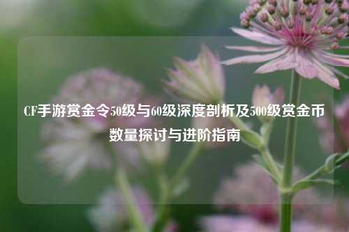 CF手游赏金令50级与60级深度剖析及500级赏金币数量探讨与进阶指南