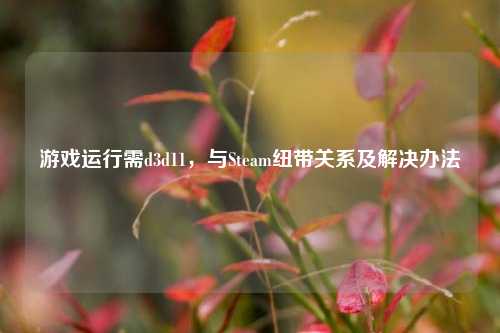 游戏运行需d3d11，与Steam纽带关系及解决办法