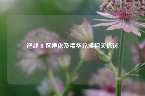逆战 B 区净化及精华兑换相关探讨