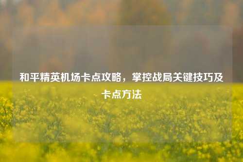 和平精英机场卡点攻略，掌控战局关键技巧及卡点方法